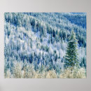 Suche nach aspen poster Landschaft