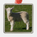 Suche nach nahe ornamente Bauernhof