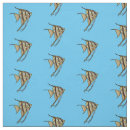Suche nach angelfish Aquarium