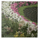 Recherche de bourgeon carreaux Jardin