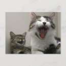 Recherche de jem cartes postales Rire
