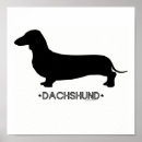 Suche nach dackel silhouette poster Tiere