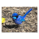 Suche nach feenhafter druck Blau