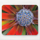 Suche nach gewächshaus mousepads Farbe