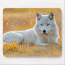 Recherche de loup sauvage tapis souris Faune