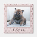 Recherche de pet photo magnets Mignon
