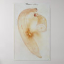 Recherche de banane posters Dessin