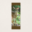 Recherche de signet animal Faune