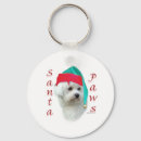 Recherche de bichon porteclés Chien