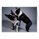 Suche nach playful postkarten Grau