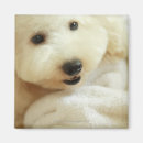 Suche nach tuch magnete Hund
