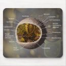 Suche nach zelle mousepads Leben