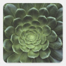 Recherche de croissance autocollants Vert