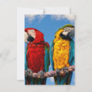 Recherche de oiseau jaune invitations Animaux