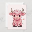 Recherche de scottish highland cartes postales Vache des hautes terres