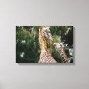 Suche nach giraffen leinwandbilder Tag