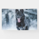 Suche nach schnee banner Wolf