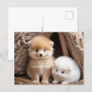 Suche nach babytiere postkarten Kleintiere