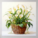 Recherche de jardinier posters Jolies fleurs