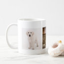 Recherche de chiot classiques tasses Chat