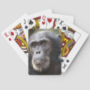 Recherche de mise jeux de cartes Superstock