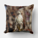 Recherche de buse coussins Oiseau