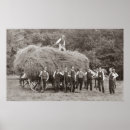 Suche nach pferd und wagen poster Bauernhof