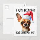Recherche de chihuahua Xmas
