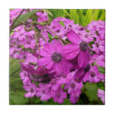 Recherche de fleur violette carreaux Fleurs