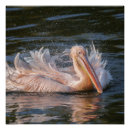 Recherche de sur le mouvement posters Nature