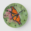 Recherche de butterfly horloges Wildlife