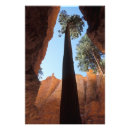 Suche nach schmal poster Landschaft