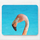 Recherche de flamingo tapis souris Rose