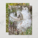 Suche nach schmetterlinge bastel zubehör Natur