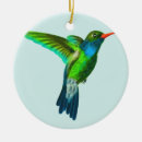Suche nach kolibri schmuck Süß