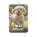 Recherche de chien désodorisants voiture Do it yourself
