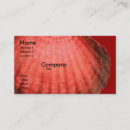 Recherche de arénacé cartes visite Nature