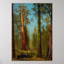 Recherche de séquoia géant posters Albert bierstadt