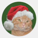 Recherche de patte tigre autocollants Noël