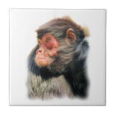 Suche nach niedlicher affe fliesen Affen