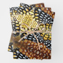 Recherche de faisan papier cadeau Plumes