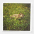 Recherche de marmotte serviettes Journée de la marmotte