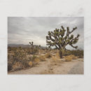 Recherche de paume cartes postales Arbre