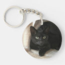Recherche de chat noir accessoires Chats