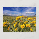 Recherche de chucks cartes postales Superstock