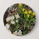 Suche nach narzissen blumen buttons Quelle