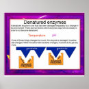 Recherche de enzyme Science