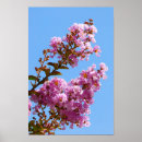 Suche nach crepe poster Blume