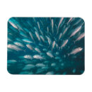 Recherche de animaux sauvages magnets Photographie