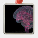 Suche nach gehirn ornamente Leute